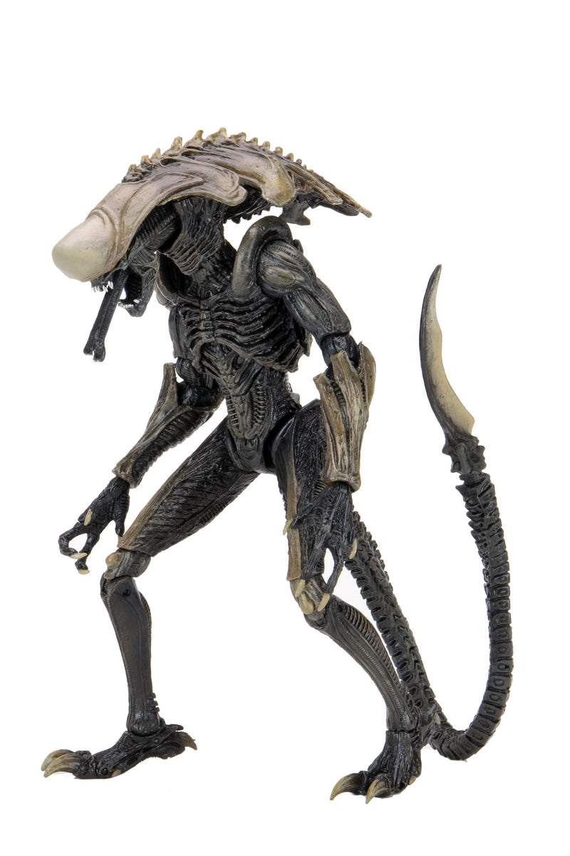 Neca Reel Toys Aliens Chrysalis Alien 7