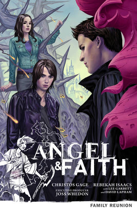 Angel & Faith Vol. 3 Family Reunion TP