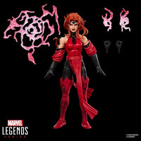 
              Hasbro Marvel Legends Avengers Vision & Scarlet Witch Action Figure 2-Pack
            