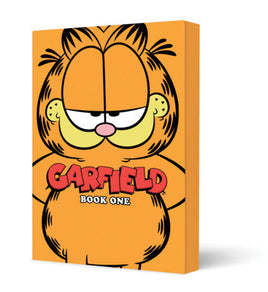Garfield Vol. 1 TP