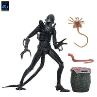 
              Neca Reel Toys Aliens 40th Anniversary Xenomorph Warrior Ultimate 7" Scale Action Figure
            