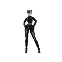 
              Blokees DC Comics Champion Class 06 Catwoman (Hush) Model Kit
            