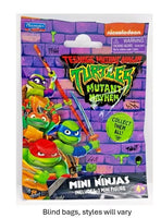 
              Playmates Teenage Mutant Ninja Turtles Mutant Mayhem Mini Ninjas Blind Bag Figurine
            