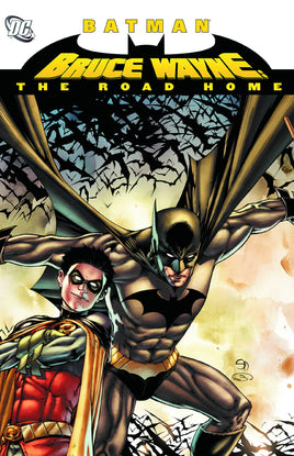 Batman: Bruce Wayne - The Road Home TP