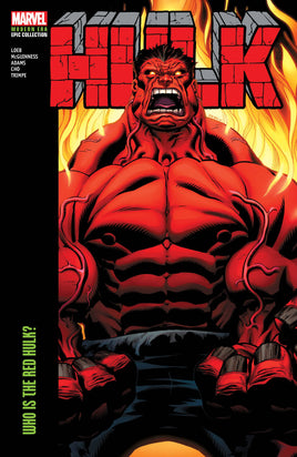 Hulk Modern Era Vol. 6 Who Is the Red Hulk? TP