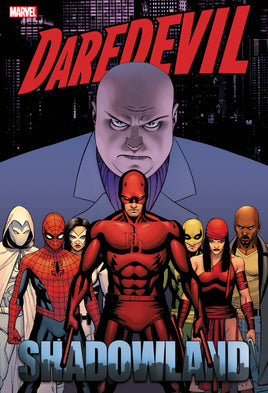 Daredevil: Shadowland Omnibus HC