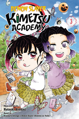 Demon Slayer: Kimetsu Academy Vol. 3 TP