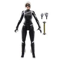 
              Hasbro Marvel Legends Gamerverse Spider-Man 2 Black Cat Action Figure
            