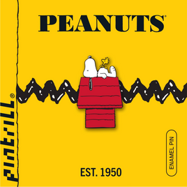 Peanuts Snoopy & Woodstock on Doghouse Enamel Pin
