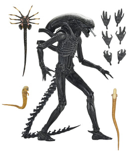 Neca Reel Toys Alien: Romulus Xenomorph XX121 Ultimate 7" Scale Action Figure