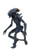 
              Neca Reel Toys Aliens Arachnoid Alien 7" Scale Action Figure
            