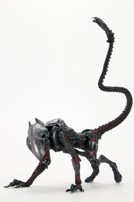 Neca Reel Toys Aliens Ultimate Night Cougar Alien 7" Scale Action Figure