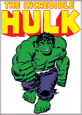 Incredible Hulk Character Magnet
