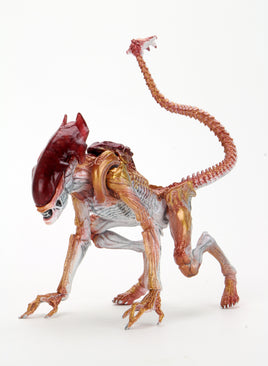 Neca Reel Toys Aliens Ultimate Panther Alien 7" Scale Action Figure