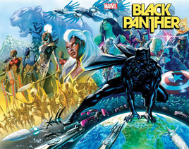Black Panther #1 Cover Art Poster