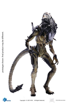 Hiya Toys Aliens Vs. Predator: Requiem Predalien 1/18 Scale Figure