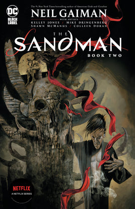 Sandman Vol. 2 TP