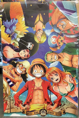 One Piece "Circle" Poster
