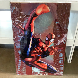 Spider-Man Poster (Web Swing)